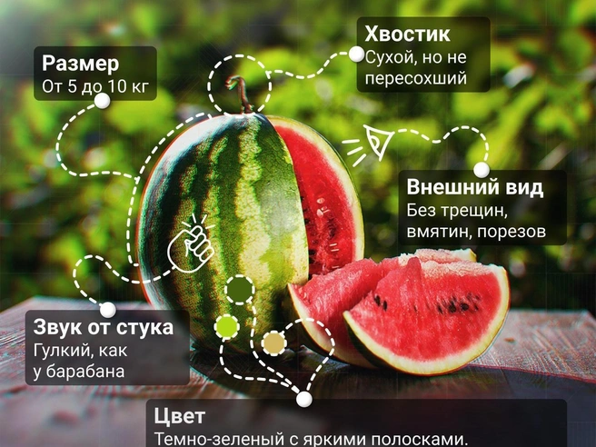 Источник: Дмитрий Гладышев / 72.RU