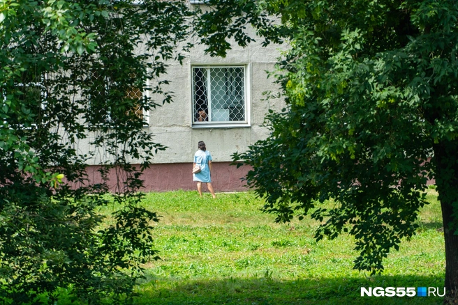 Запретное свидание. Из окон время от времени раздаётся надсадный кашель | Источник: Елена Латыпова