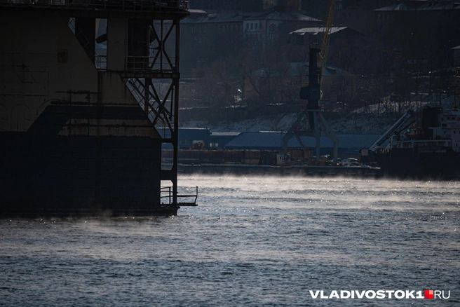 Источник: Елена Буйвол / VLADIVOSTOK1.RU