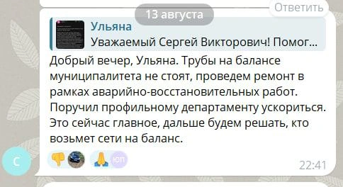 Ответ от мэра в чате мэра | Источник: Чат Верещагин Сергей / Telegram
