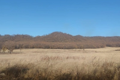 Кон предложил использовать земли Минобороны для развития Борзинского округа