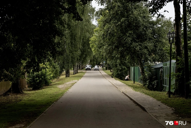 Густая тень старых деревьев придает этому селу особую атмосферу | Источник: Александр Куренной / 76.RU