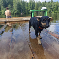 Аватарка Евгения Бессмертных