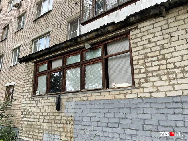 Жители говорят, что грязь и копоть оседают на окнах, их надо постоянно мыть | Источник: Алёна Косточкина