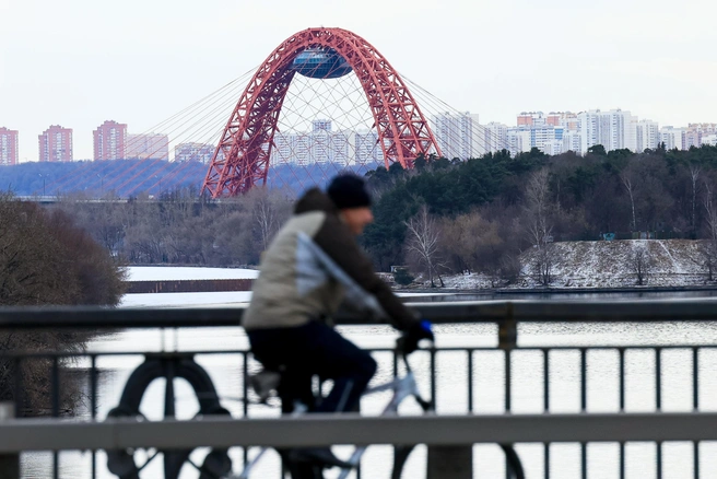 Из Щукино можно дойти пешком по берегу до Живописного моста и Серебряного бора… | Источник: Артем Устюжанин / MSK1.RU