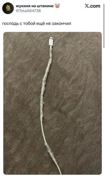 Источник: X (Twitter)