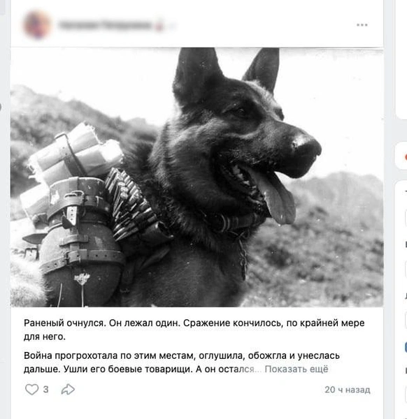 Источник: ВКонтакте