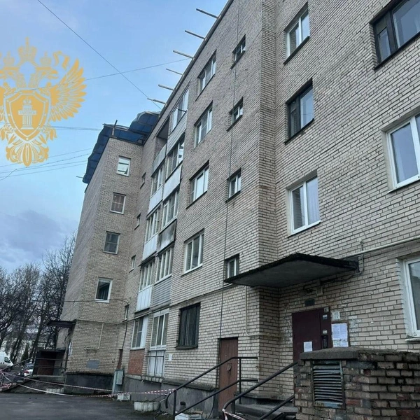 Источник: Прокуратура Ленобласти
