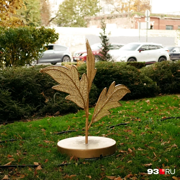 Источник: Дарья Паращенко / 93.RU