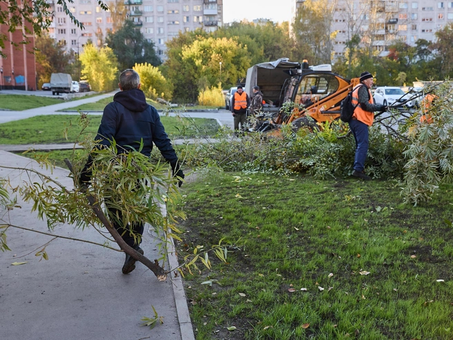 Мусор, листва и сухие ветки будут вывезены на полигоны | Источник: Александр Ощепков / NGS.RU