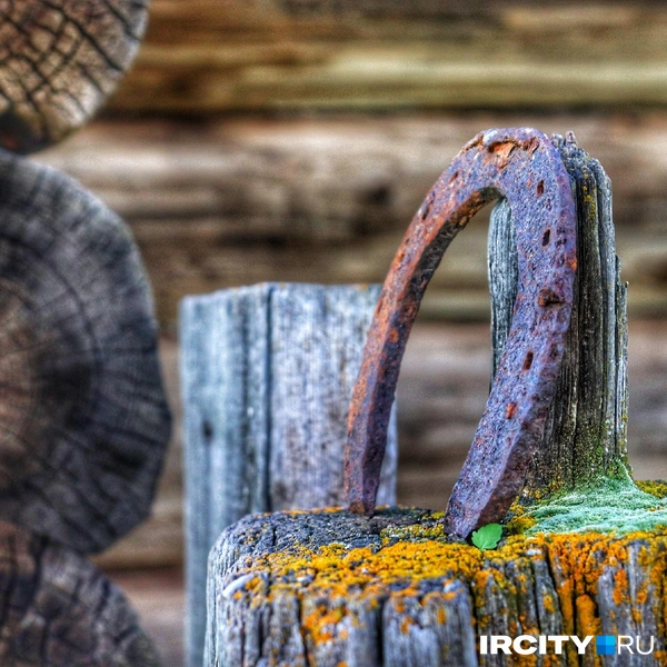 Источник: Алена Кашпарова / «ИрСити»