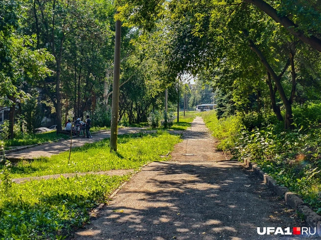 Не воодушевляющий пейзаж | Источник: Булат Салихов / UFA1.RU