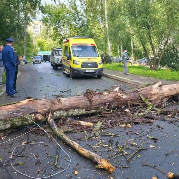 В прокуратуре организовали проверку | Источник: Прокуратура Ярославской области / Max