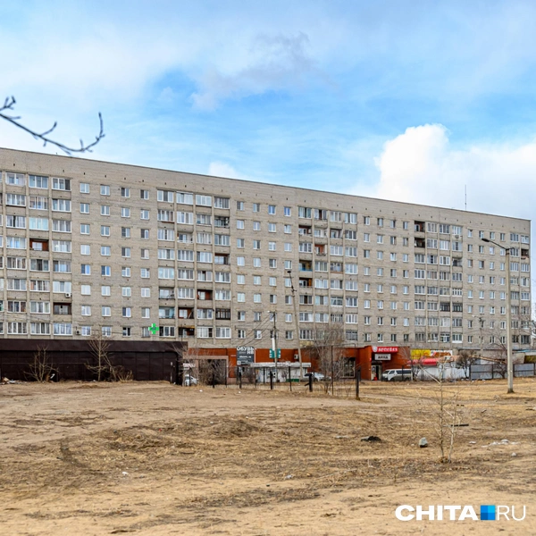 С одной стороны парка образовался стихийный рынок, часть ларьков скоро снесут  | Источник: Олег Фёдоров / CHITA.RU