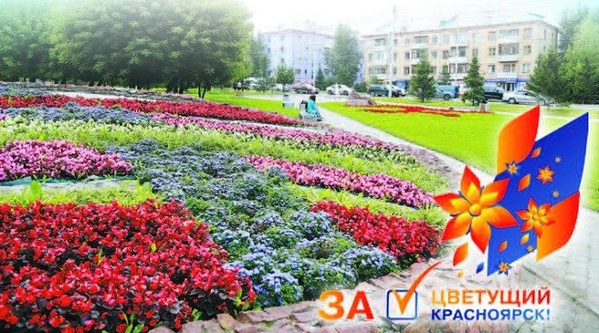На остановках транспорта «Зеленая дружина СГК» будет раздавать семена ярких садовых цветов | ngs24.ru
