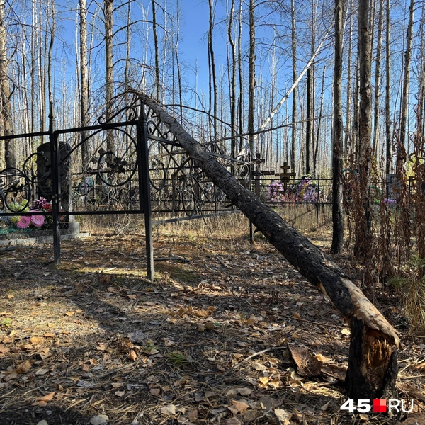 Источник: Кирилл Митин