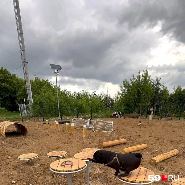 Вся площадка усыпана песком | Источник: читатель 59.RU