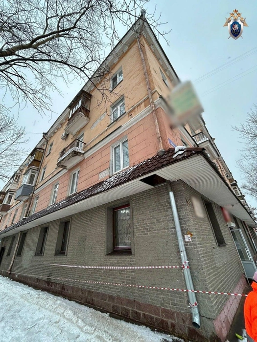 Лед упал с козырька магазина | Источник: СК по Нижегородской области