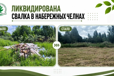 В Челнах ликвидировали свалку после проверки экологов