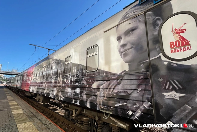 Источник: Елена Буйвол / VLADIVOSTOK1.RU
