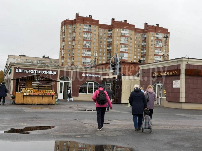 Сняли крышу и вывозят обломки. Что происходит на Правобережном рынке спустя почти год после пожара | Источник: Евгения Горбунова / FONTANKA.RU