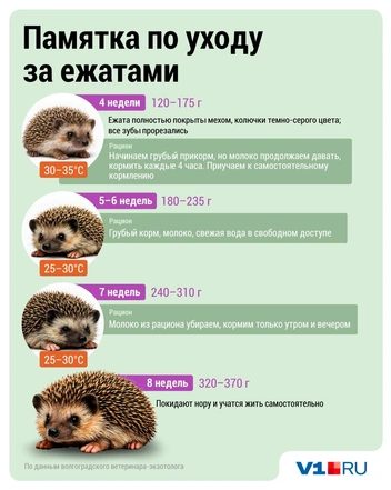 Источник: Дмитрий Гладышев