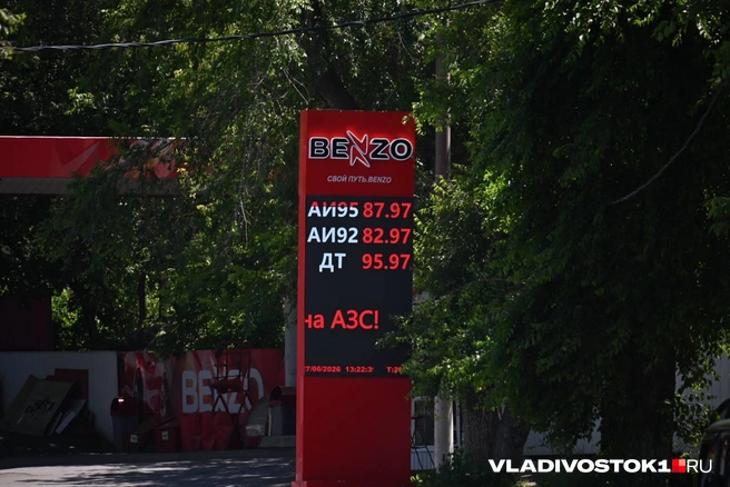 Источник: Елена Буйвол / VLADIVOSTOK1.RU