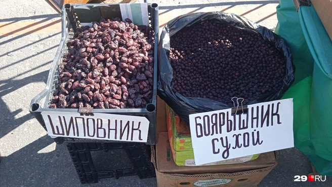 Источник: Юрий Скородумов / 29.RU