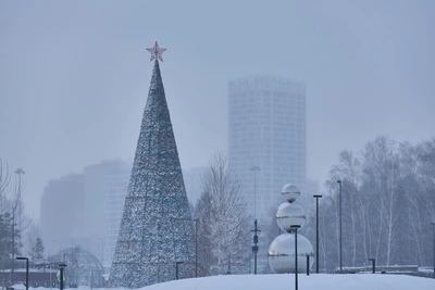 Морозы в Новосибирской области ослабнут к 20 января