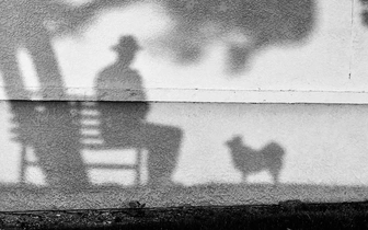 Подведены итоги конкурса фотографий собак Dog Photography Awards 2025: лучшие снимки четвероногих друзей