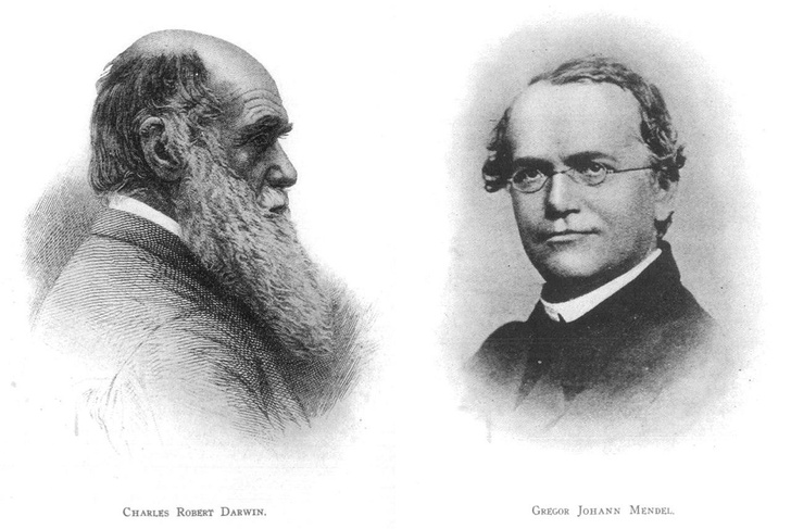 Монах и биохимик: как Иоганн Мендель и Фридрих Мишер стали основоположниками научной генетики