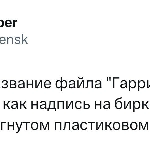 Источник: X (Twitter)