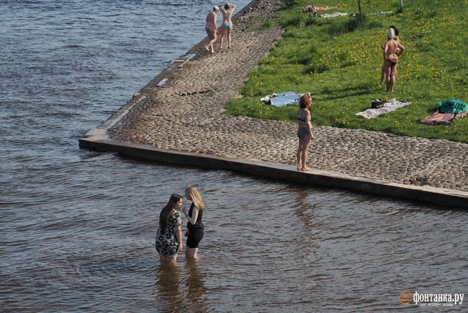 Лето пришло в Петербург. Правда-правда | Источник: Михаил Огнев / FONTANKA.RU
