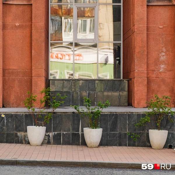 Вазоны расставили по всей Сибирской | Источник: Тимофей Калмаков / 59.RU