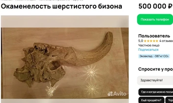 Источник: avito.ru