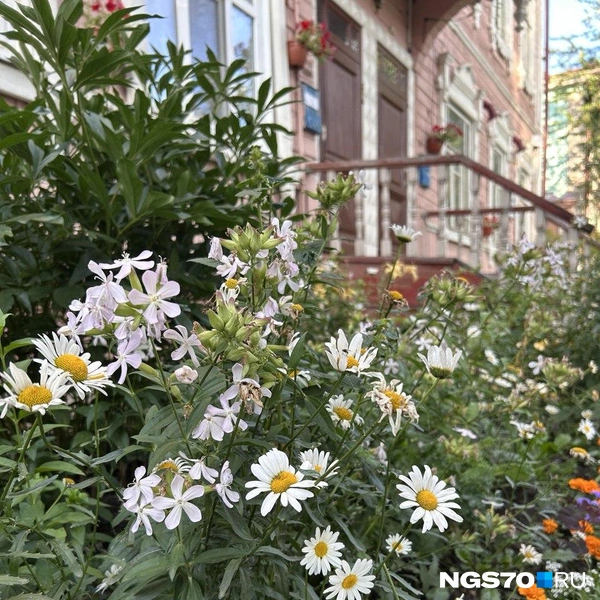 Источник: Анастасия Харламова / NGS70.RU