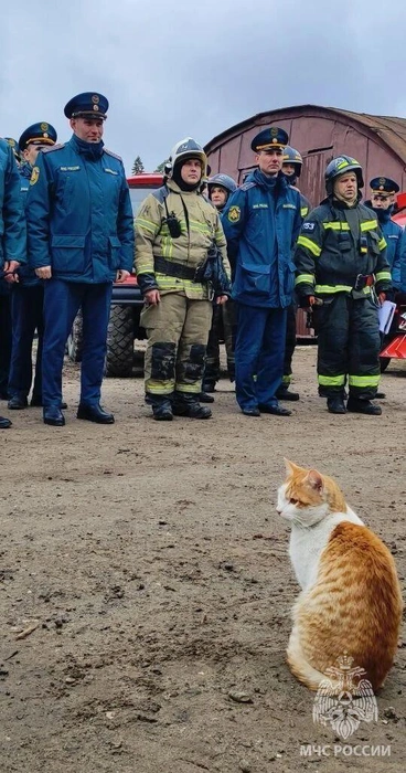 Источник: static.mchs.gov.ru