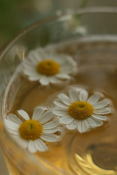 Источник: Pinterest