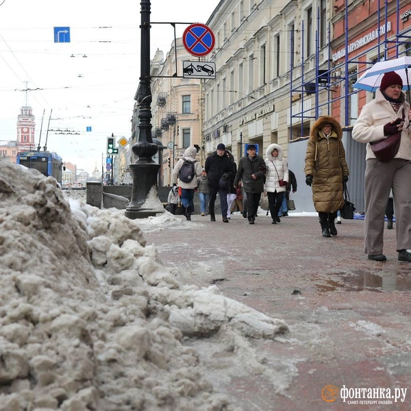Источник: Дарья Драй / FONTANKA.RU