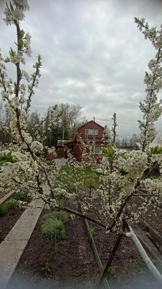 Источник: предоставлено участником конкурса