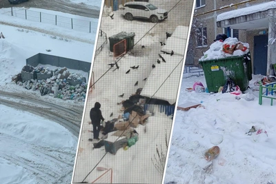 Нижегородцы жалуются на горы мусора во дворах