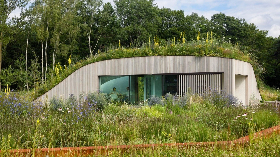 Дом под землей в Нидерландах | Источник: WillemsenU