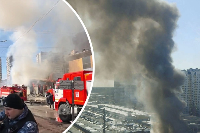 Возгорание достигло 4,5 тысячи квадратных метров. Но сейчас пожар локализовали | Источник: читатели MSK1.RU