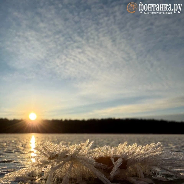 Источник: читатель «Фонтанки»
