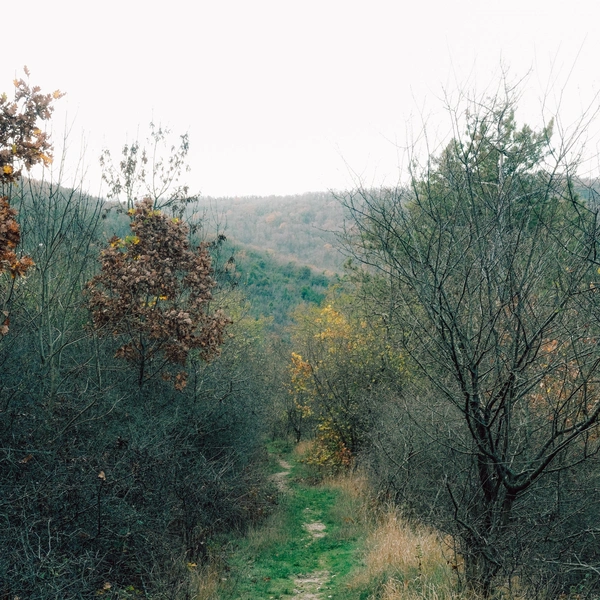 Источник: Марина Тюляева