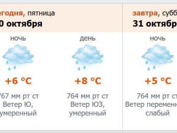 В Петербурге похолодало и пошёл дождь