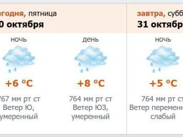 Источник: скриншот с meteo.nw.ru