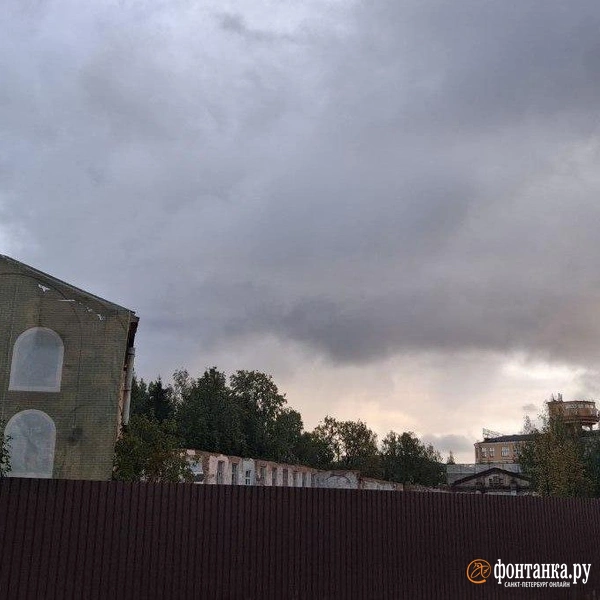 Руины Васильевского винного городка | Источник: Анна Мотовилова / «Фонтанка.ру»