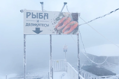 Top 5 unusual vacancies in Krasnoyarsk: passion like Steve Jobs