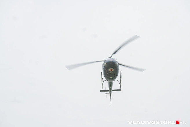 Источник: Елена Буйвол / VLADIVOSTOK1.RU